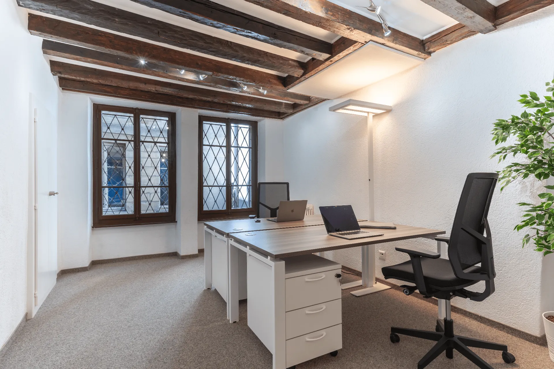 double private office with two big windows